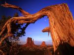 Parks_064