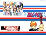 Bleach_311