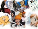 Bleach_327