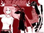 Bleach_338