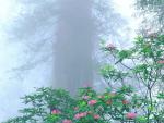 Parks_116