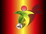 windows_xp_255
