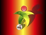 windows_xp_255