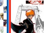 Bleach_353