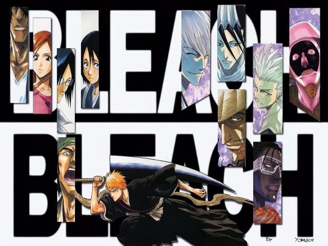 Bleach_371