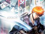 Bleach_373