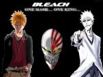 Bleach_383