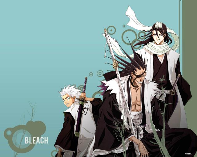 Bleach_400