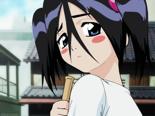 Bleach_411