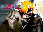 Bleach_421