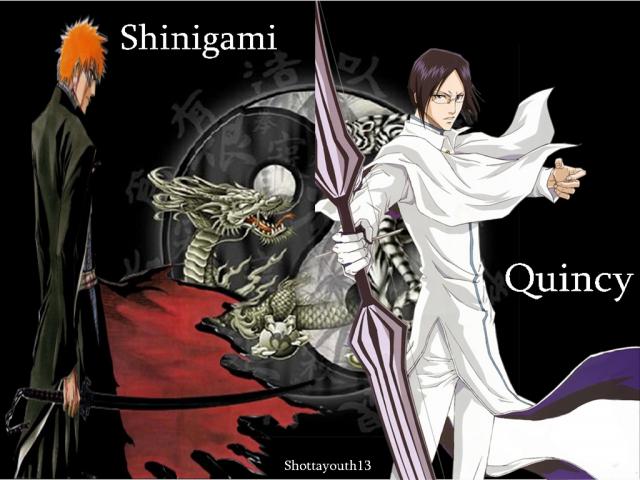 Bleach_447