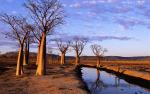Australia_032