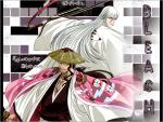 Bleach_480