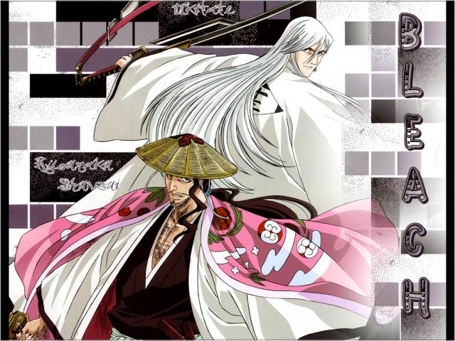 Bleach_480
