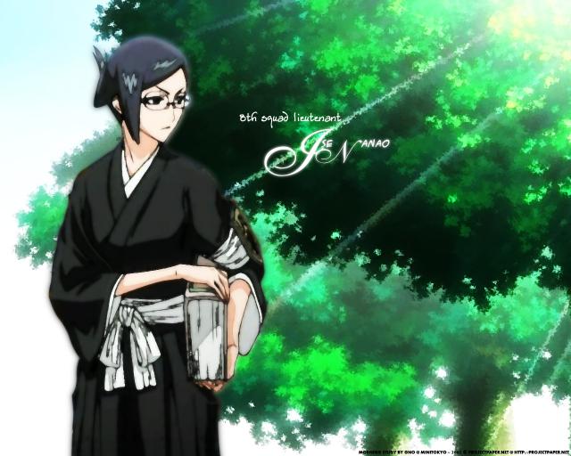 Bleach_495