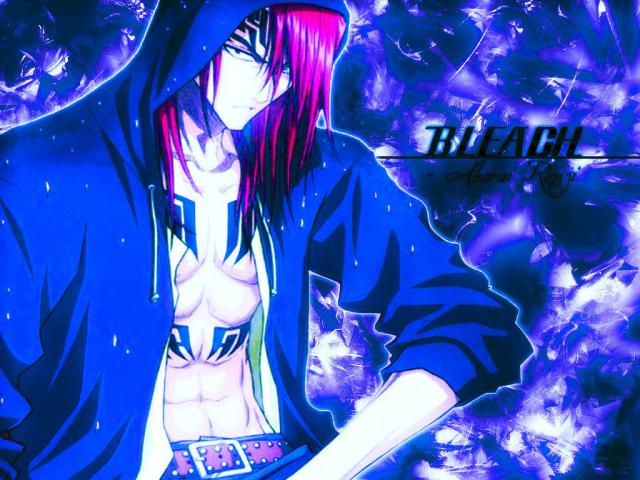 Bleach_504