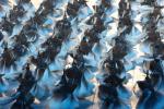 opening_ceremony204