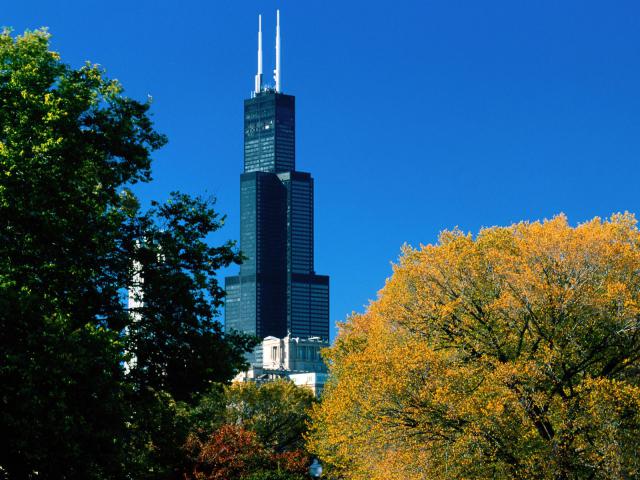 wp_19