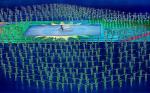opening_ceremony206