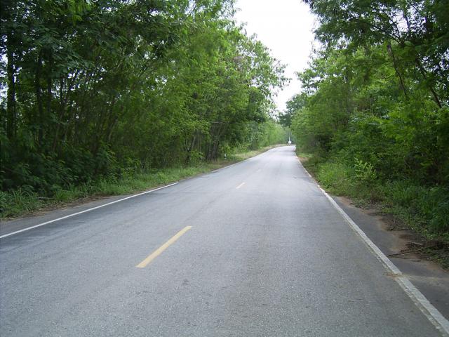 watwaphukaew50