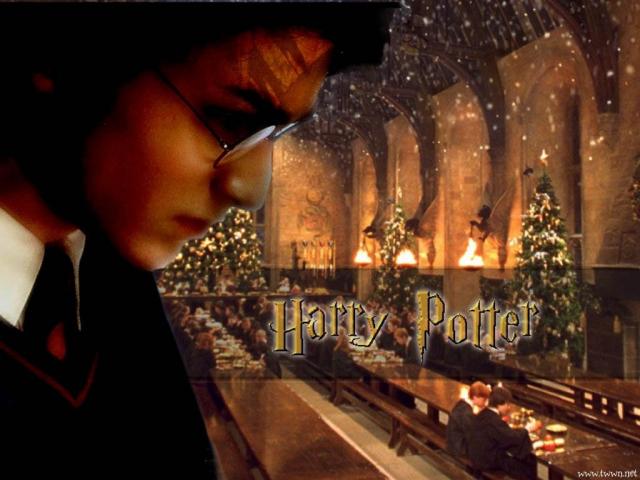 harry_potter015