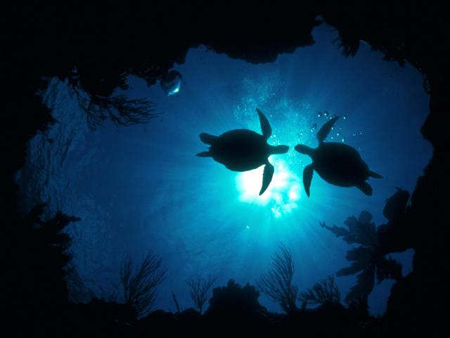 oceans_038