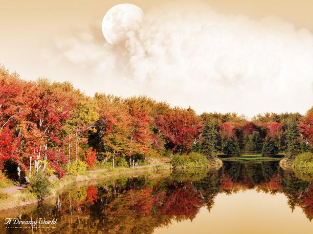A_Dreamy_World_50th