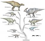 Hadrosaur_tree