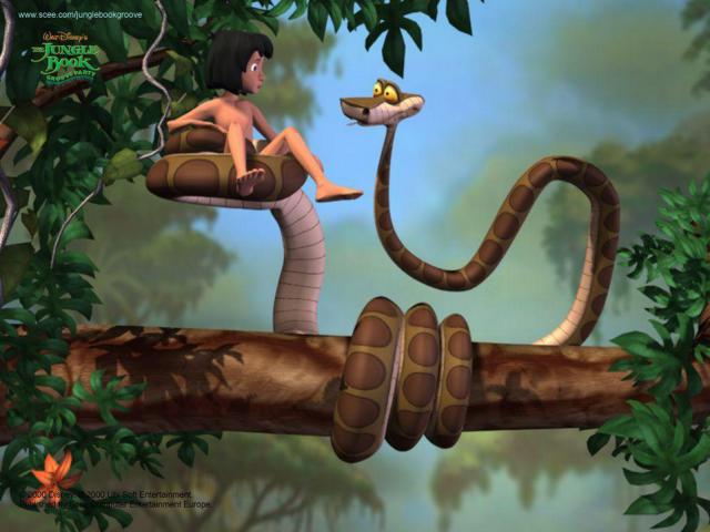 The_Jungle