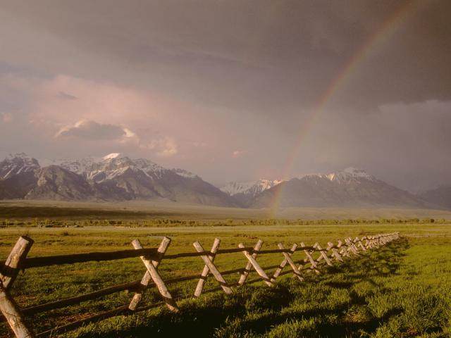 rainbow_12