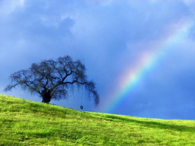 rainbow_20