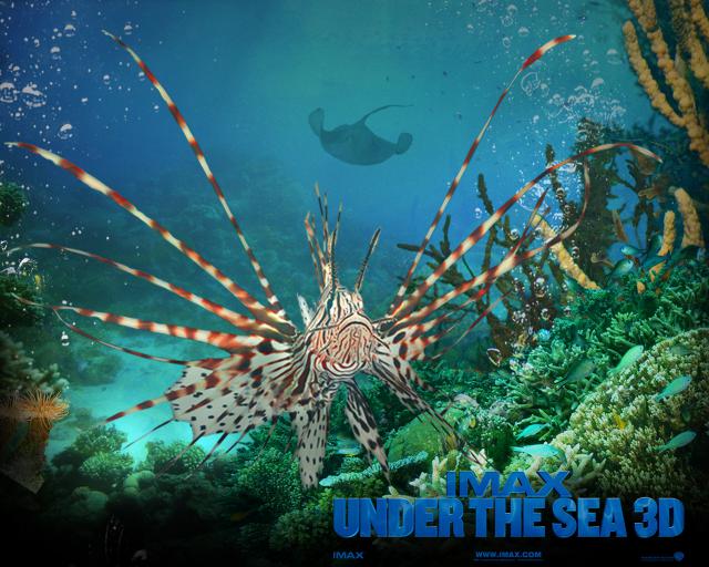 wp_lionfish