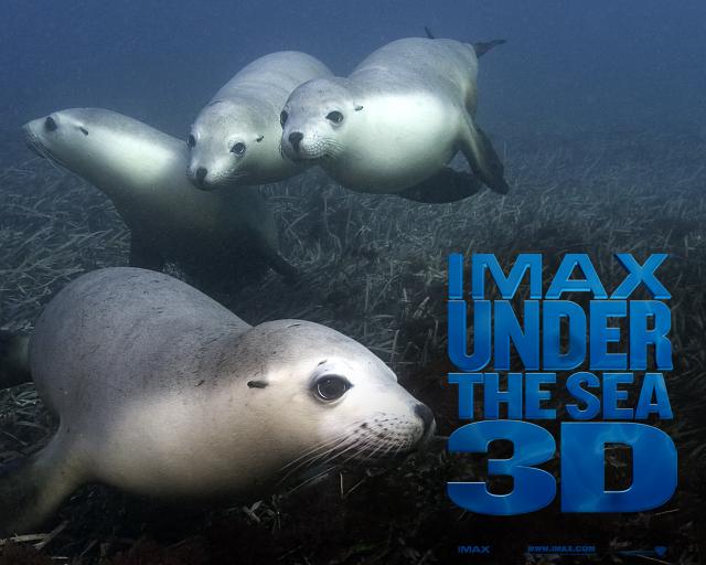 wp_sealions
