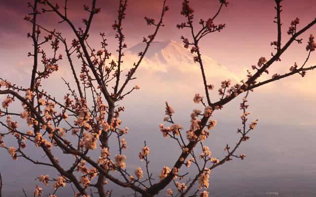 Japan_040