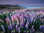 500 National Geographic Wallpapers Collection 4
