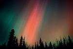 force_of_nature_02