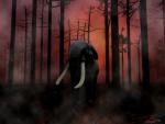 Animals_092