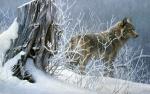 Animals_102