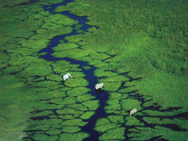 Aerial_view_027