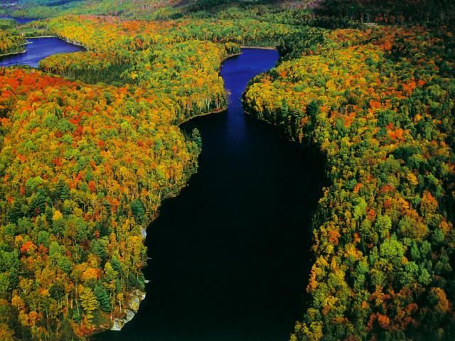 Aerial_view_093