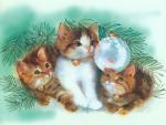 cat_167