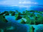 Aerial_view_136