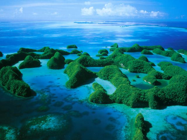 Aerial_view_136