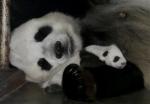 Animals_138