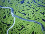 Aerial_view_142