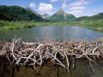 river_075
