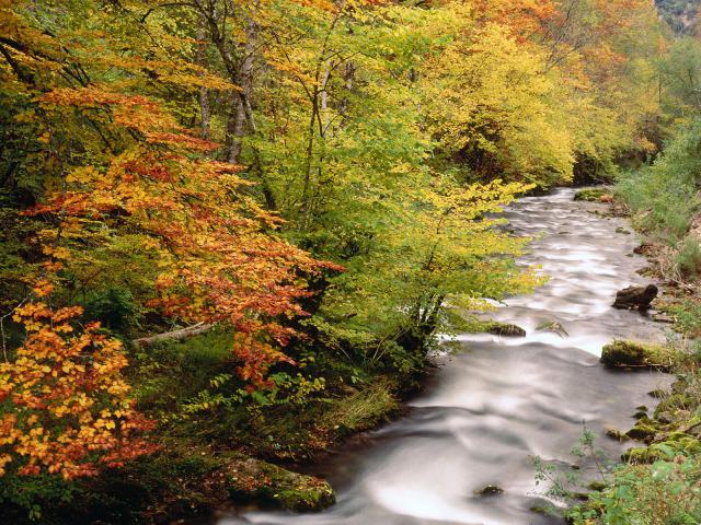 river_079