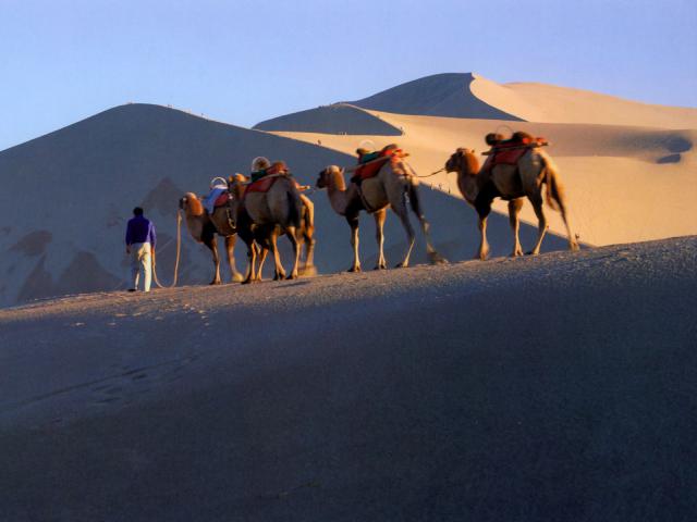 china_176