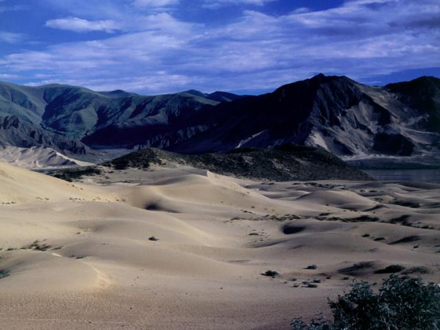 china_217