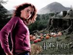 POA-Hermione